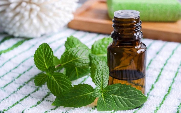Functional cosmetics: a new trend of skin care and technology integration