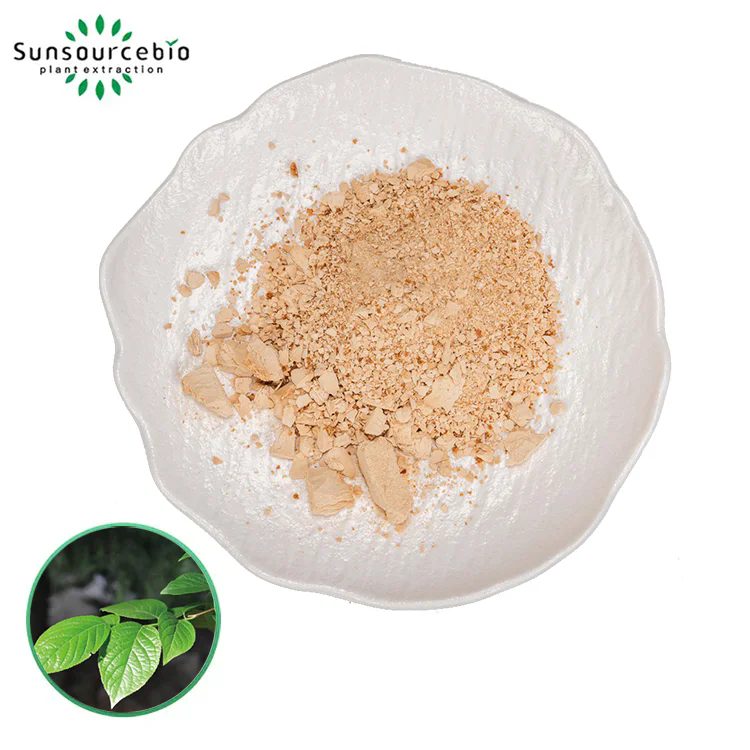 How Eucommia Extract Powder Unlocks Health?