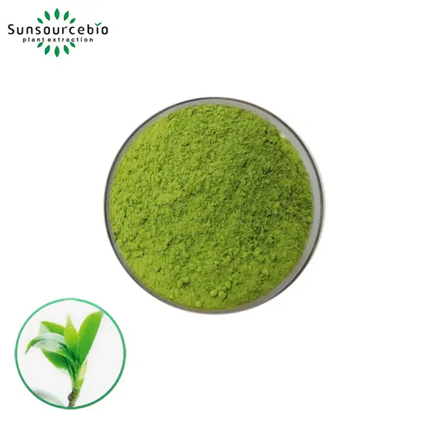 Green Tea Extract